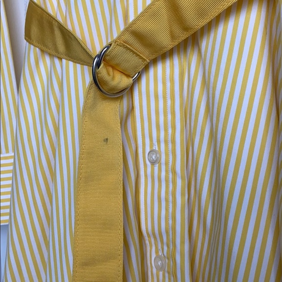 Ralph Lauren Striped Shirt Dress - Picture 8 of 15
